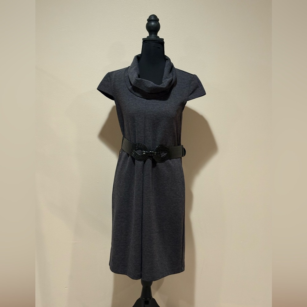 Alyx Charcoal Midi Dress with Cowl Neck Size 4